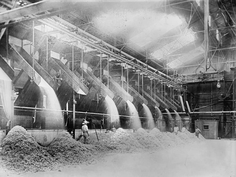 โรงหีบอ้อย ฮาวาย ปี 1910–1920 ลำเลียงชานอ้อยไปยังห้องเตาเผา ภาพประกอบทั่วไป ไม่ใช่โรงงานของ BRR